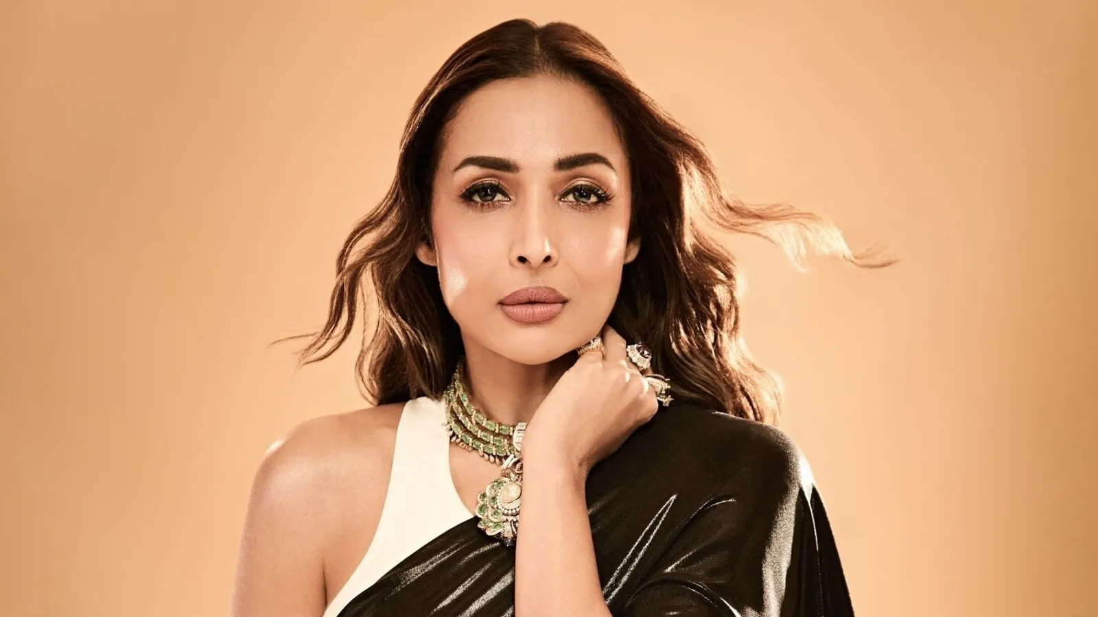 Malaika Arora Trolling- Source : Social Media