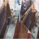 Lady Thief Beaten By Jewellery Shopkeeper