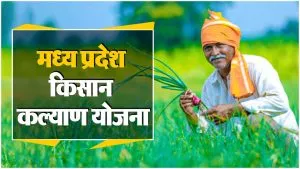 MP के किसानों की मौज! 6 हजार की जगह हर साल मिलती है 12000 रुपए की सहायता, ऐसे करें मुख्यमंत्री किसान कल्याण योजना के लिए आवेदन