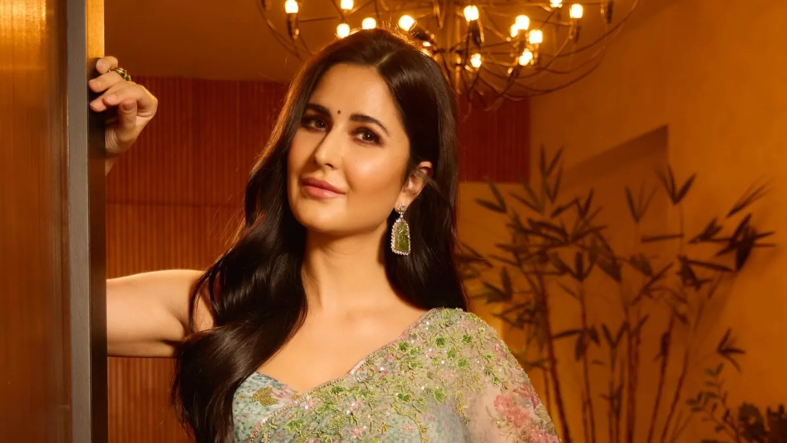 Katrina Kaif Rise in Bollywood - Source : Social Media