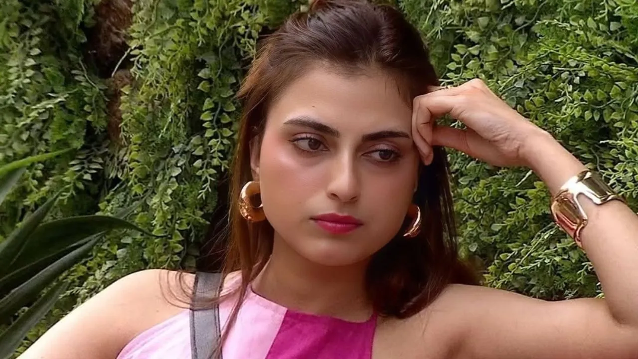 Bigg Boss 19 Finale- Source : Social Media