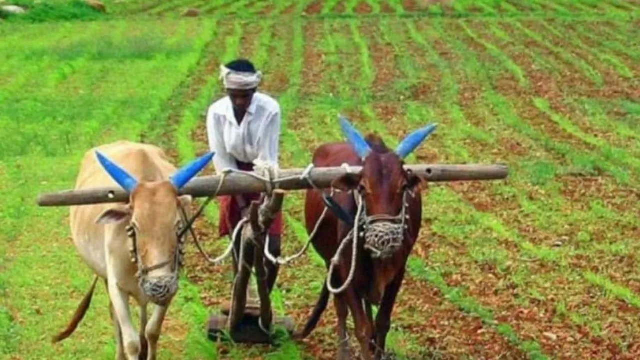 Kisan Diwas 2025