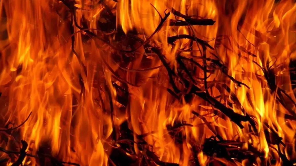 Bhubaneswar Night Club Fire (credit-sm)