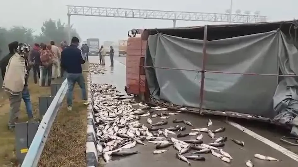 Fish Canter Overturned in Baghpat (credit-sm)