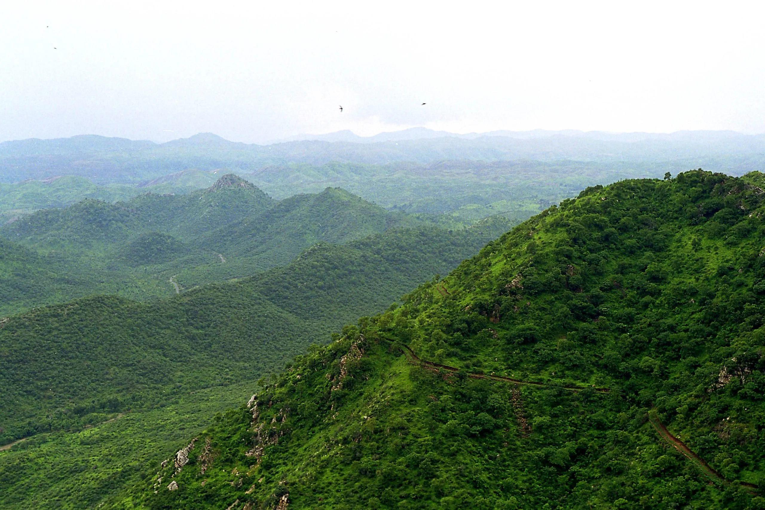 Aravalli Hills Economic Impact (credit-sm)