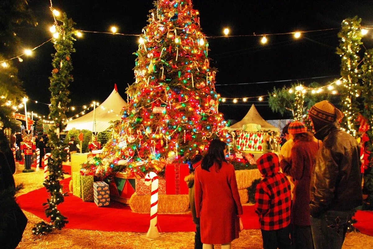 Christmas Day Celebration
