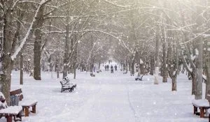 places to see in winter in india
