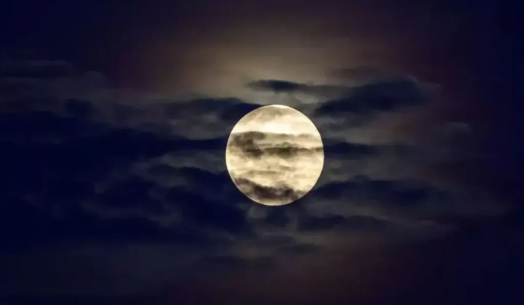 Paush Amavasya 2025