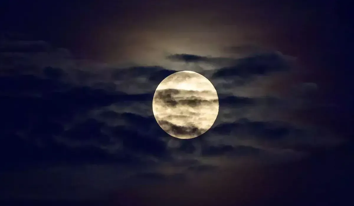 Paush Amavasya Kab Hai 2025