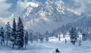 Kashmir Tour Package Guide