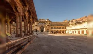 Trips on New year in budget