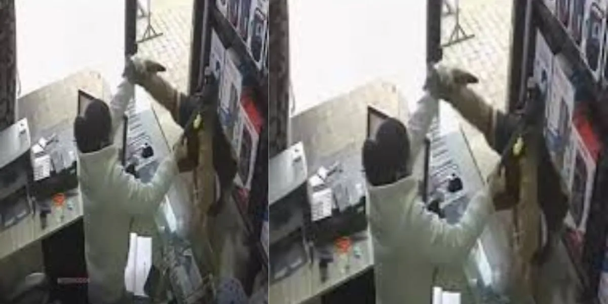 Ludhiana Money Transfer Office Robbery (Image- Social Media)