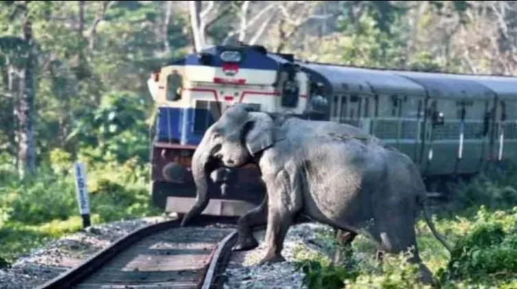Indian Railway