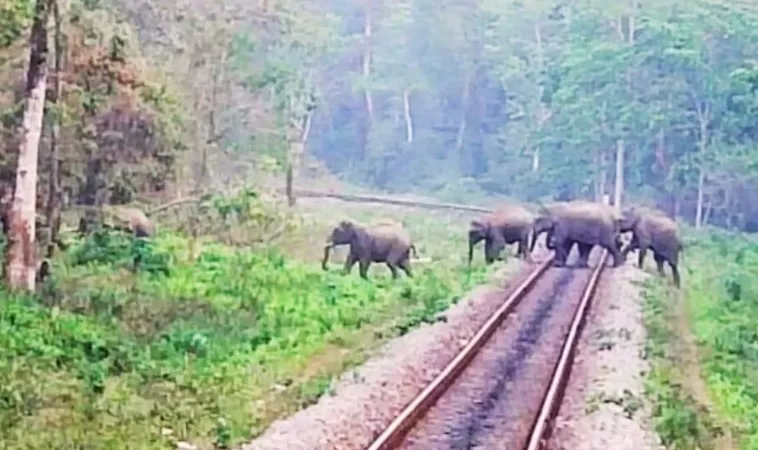 Indian Railway