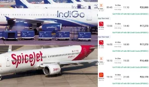 Flights Cancelled Status Today