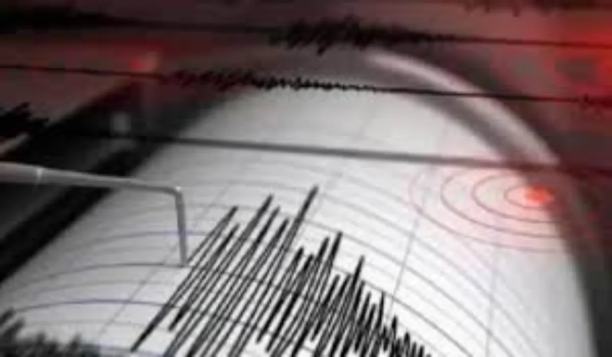 Gujarat Earthquake News