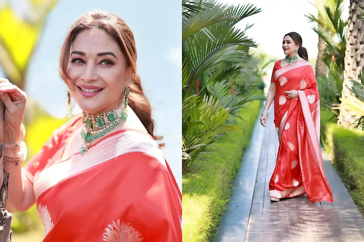 Madhuri Dixit films - Source : Social Media