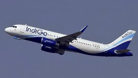 Bengaluru Flight Cancelled (source: social media)