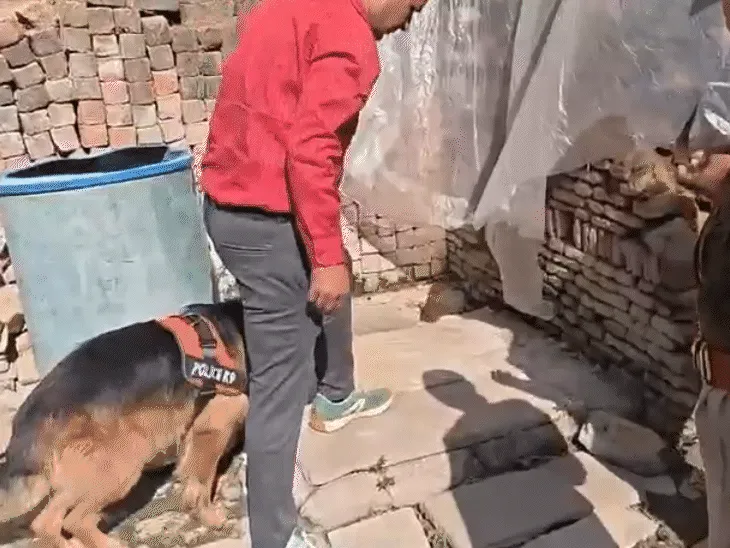 Ujjain Rape Case