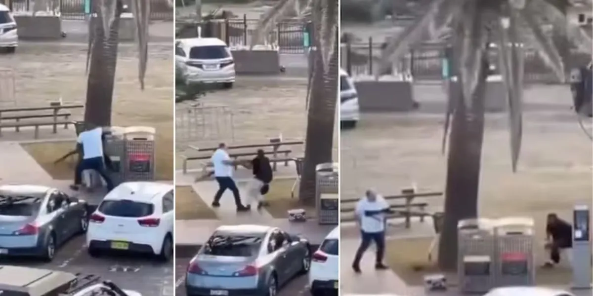 Bondi Beach Shooting Viral Video ( credit S-M )