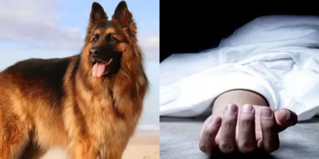 Lucknow Sister Suicide Case (credit s-m)