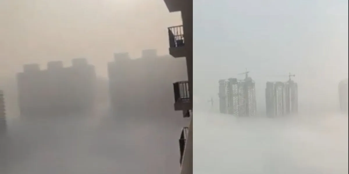 Delhi Pollution Viral Video (source: social media)