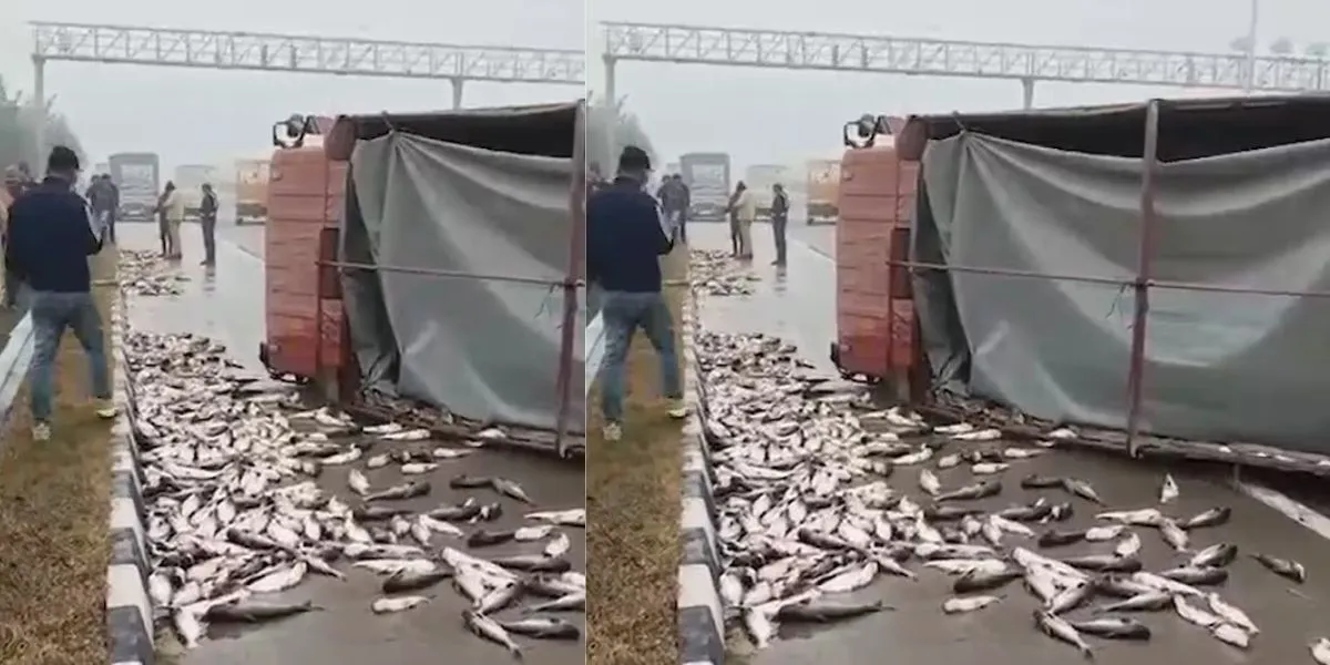 Fish Canter Overturned in Baghpat (credit-sm)