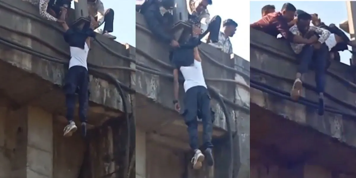 Vadodara Nandesari Bridge Accident (Image- Social Media)