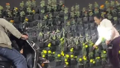 Lucknow Flower Pot Theft