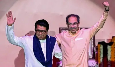 Thackeray Brothers News Today