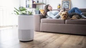 Air Purifier GST Relief
