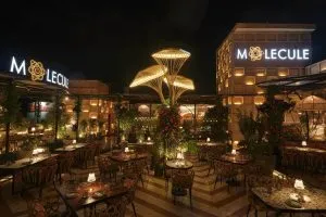 Places for New Year Party 2026
