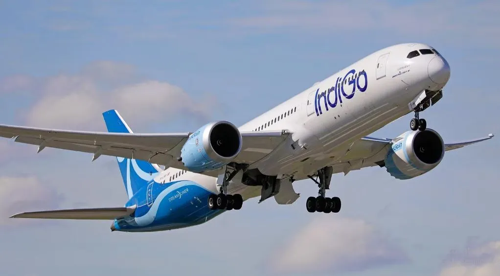 Indigo Travel Advisory