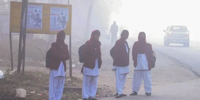 Jharkhand Weather Update (Image- Social Media)