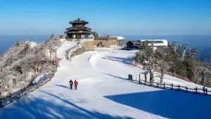 New Year Trip 2026