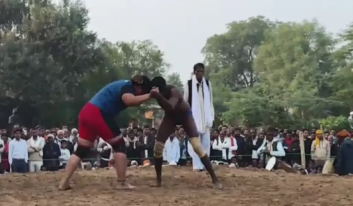 Hamirpur Wrestling News