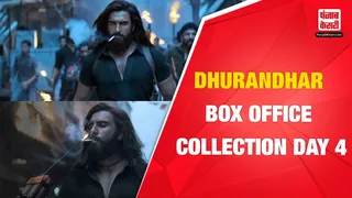 Dhurandhar Box Office Collection Day 4( Source: Social Media)