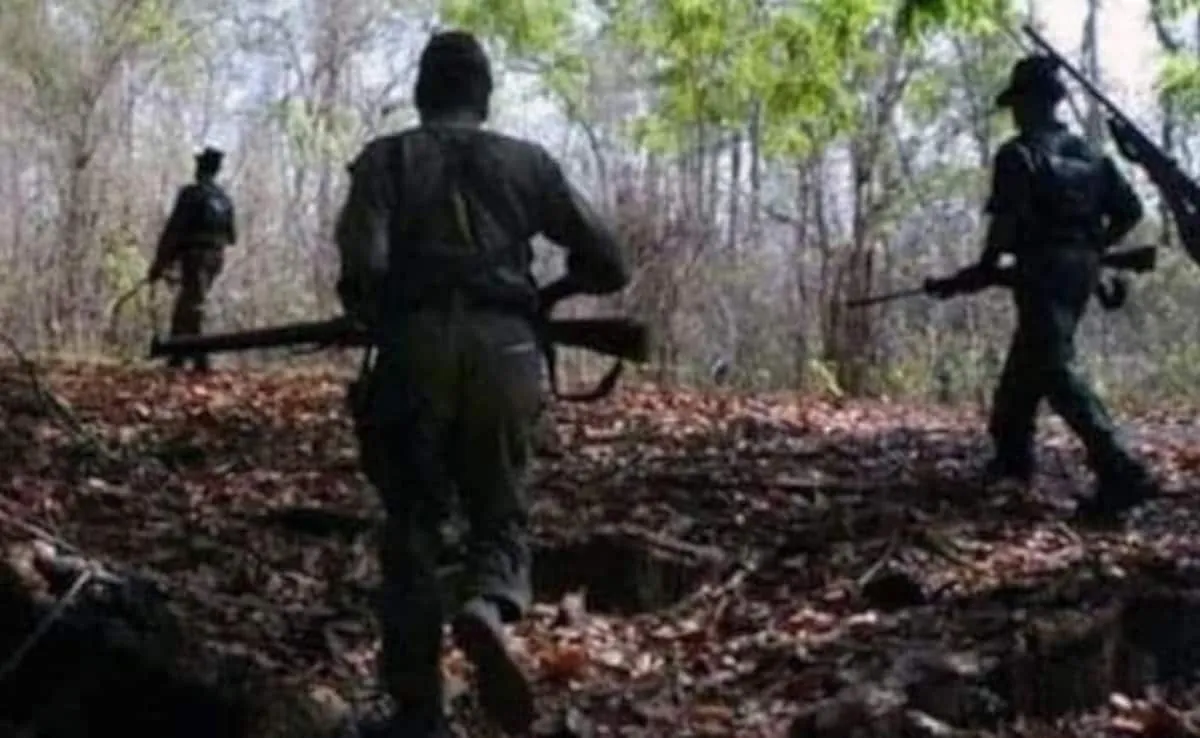 Bijapur Encounter (source: social media)