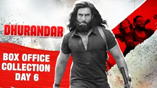 Dhurandhar Box Office Collection Day 6( Source: Social Media)