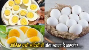 आखिर क्यों सर्दियों में अंडा खाना है जरूरी? अभी देखे इसके 5 सबसे बड़े फायदे