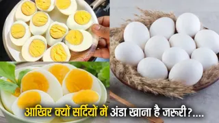 Boiled Eggs Benefits in Winter