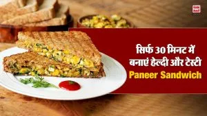 Breakfast में बच्चों के लिए सिर्फ 30 मिनट में बनाएं हेल्दी और टेस्टी Paneer Sandwich, देखें आसान रेसिपी