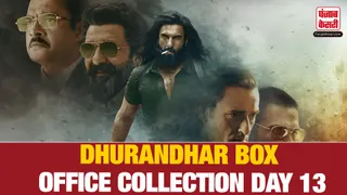 Dhurandhar Box Office Collection Day 13( Source: Social Media)