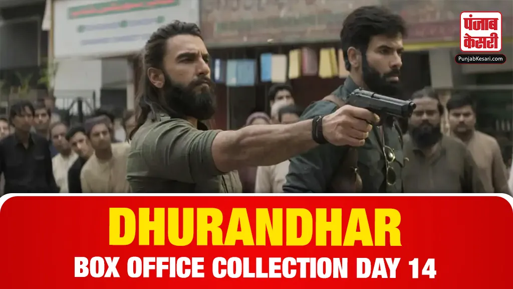 Dhurandhar Box Office Collection Day 14( Source: Social Media)