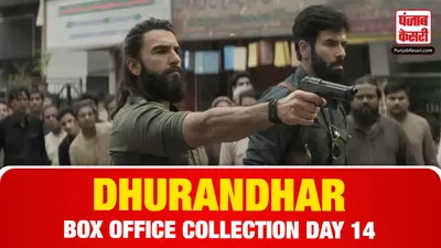 Dhurandhar Box Office Collection Day 14( Source: Social Media)