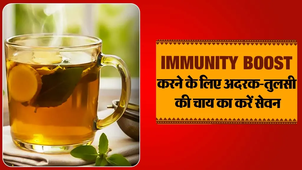 Tulsi Ginger Tea Benefits
