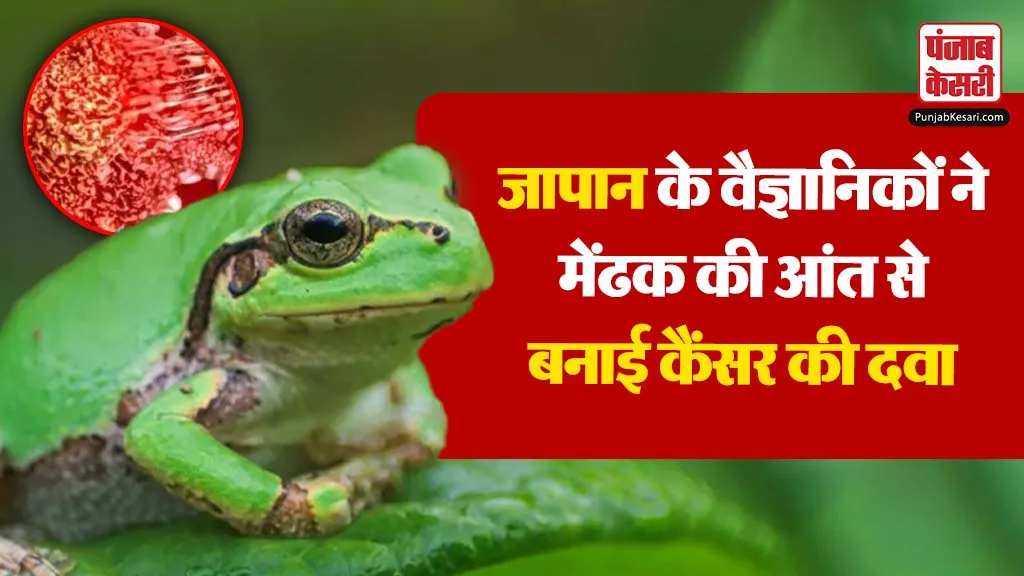 Anti Cancer Drug found in Japan (credit s-m)