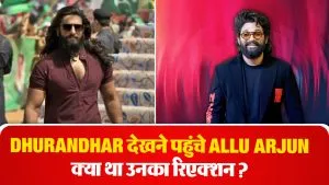 Allu Arjun on Dhurandhar- Source : Social Media