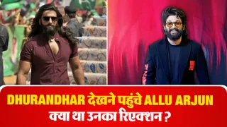 Allu Arjun on Dhurandhar- Source : Social Media
