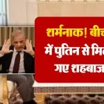 Putin Shehbaz Sharif Meeting (credit-sm)